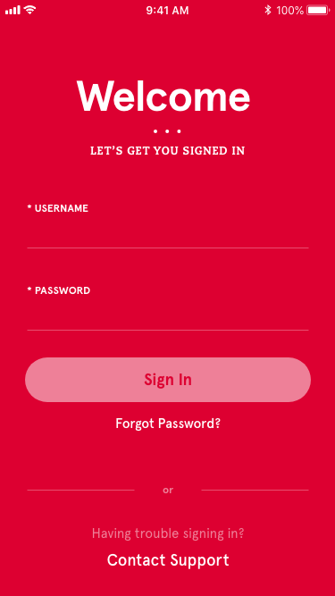 Welcome / Sign in wireframe